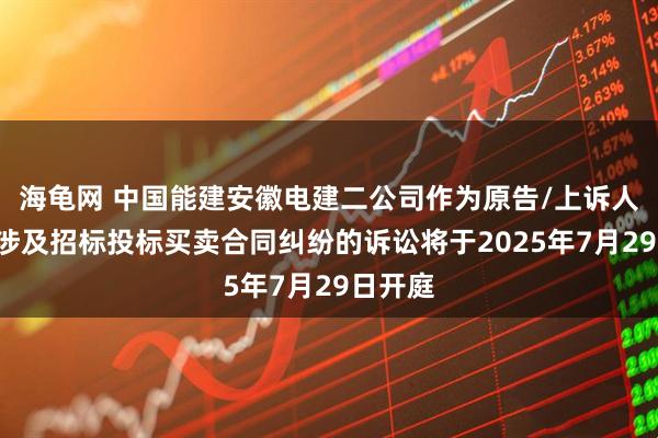 海龟网 中国能建安徽电建二公司作为原告/上诉人的1起涉及招标投标买卖合同纠纷的诉讼将于2025年7月29日开庭