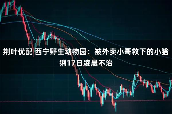 荆叶优配 西宁野生动物园：被外卖小哥救下的小猞猁17日凌晨不治