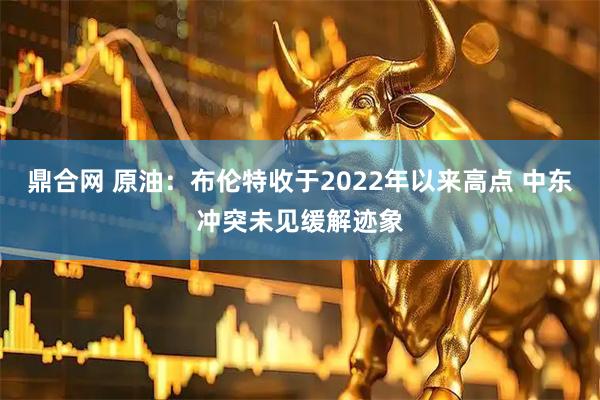 鼎合网 原油：布伦特收于2022年以来高点 中东冲突未见缓解迹象